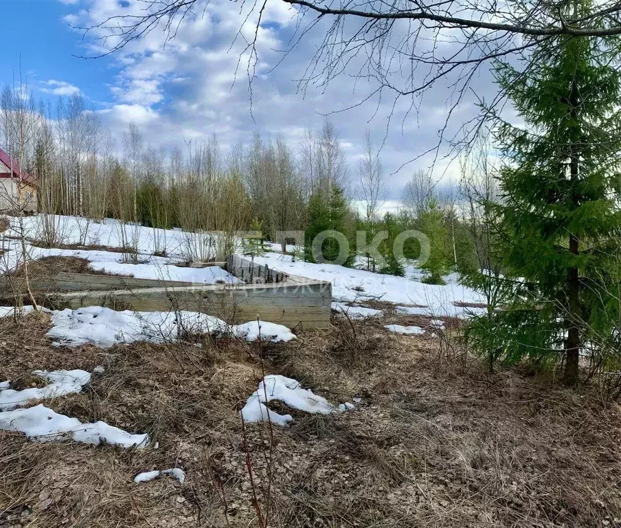 Участок в Пермский край, Березники ул. Южный Склон, 2А (7.6 сот.) - Фото 1