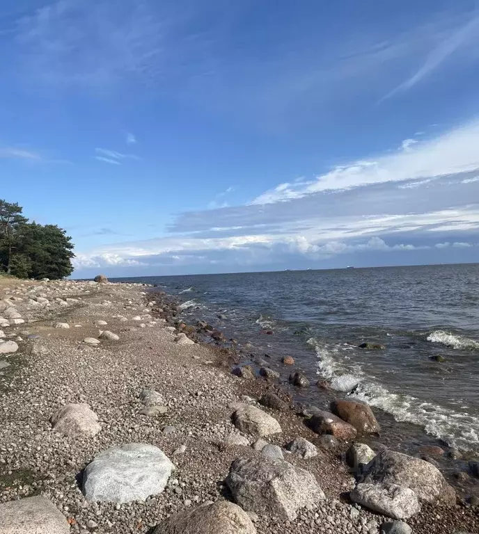 Участок в Ленинградская область, Выборгский район, Полянское с/пос, ... - Фото 2