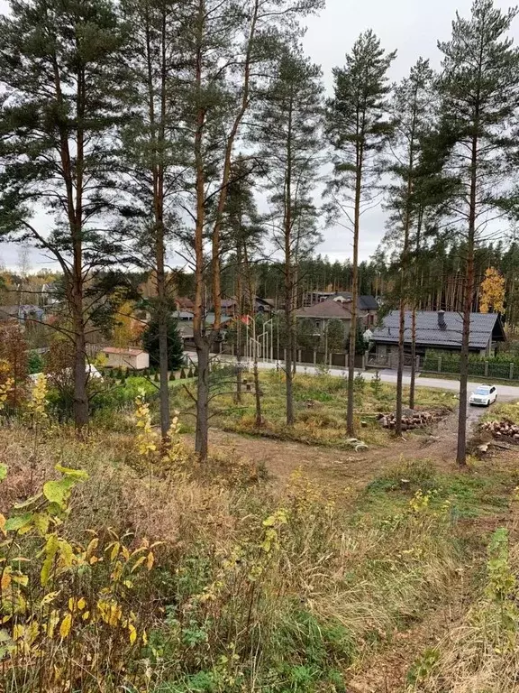 Участок в Ленинградская область, Всеволожский район, Бугровское ... - Фото 0