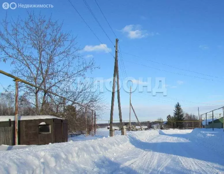 Участок в Репьёвский сельсовет, деревня Шмаково, Инская улица (13 м) - Фото 1