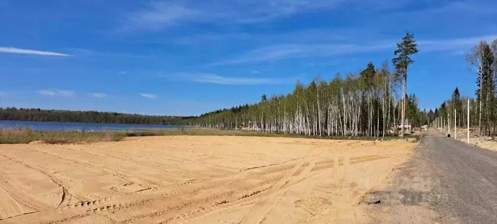 Участок в Ленинградская область, Всеволожск 1-я линия (6.0 сот.) - Фото 1