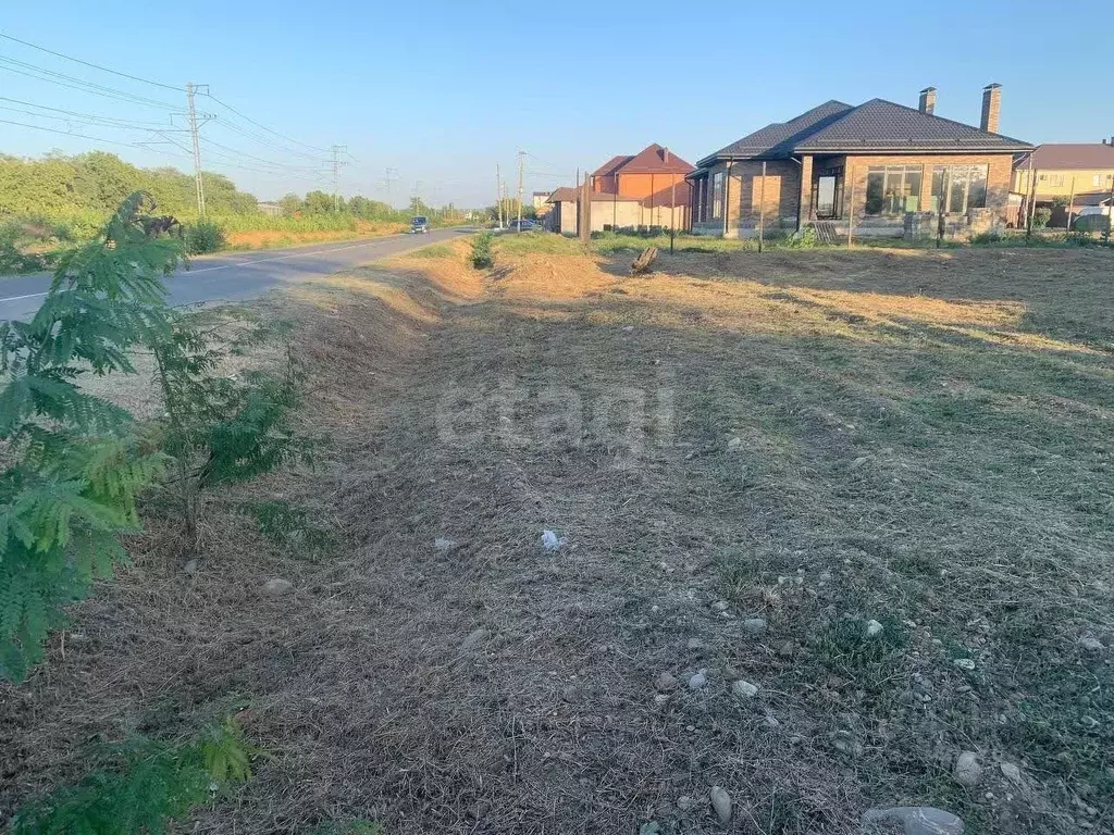 Участок в Адыгея, Майкоп городской округ, пос. Западный пер. Светлый ... - Фото 1