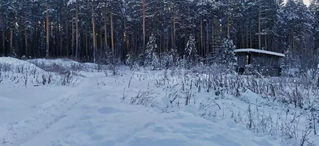 Участок в Свердловская область, Горноуральский муниципальный округ, ... - Фото 1