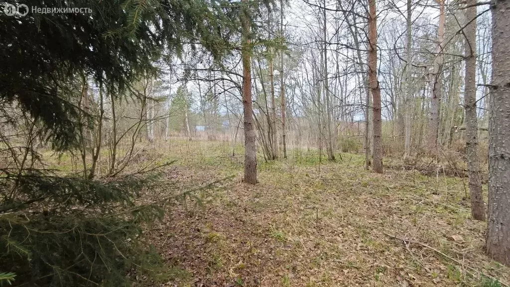 Участок в Будогощское городское поселение, деревня Рахово (20 м) - Фото 2