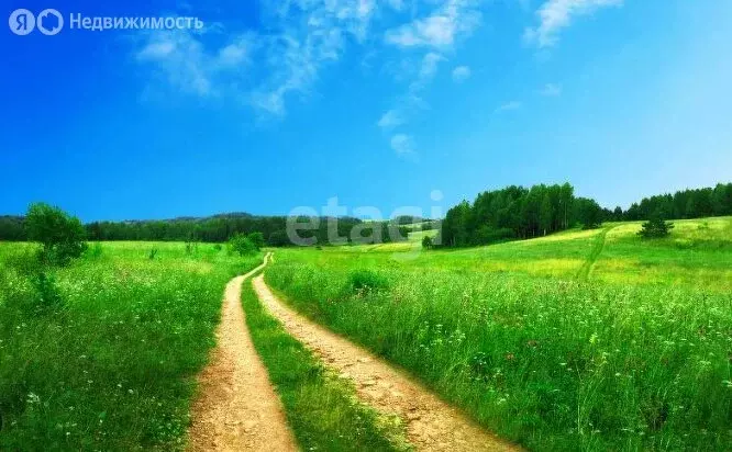 Участок в Лысьва, Индустриальная улица (12 м) - Фото 2