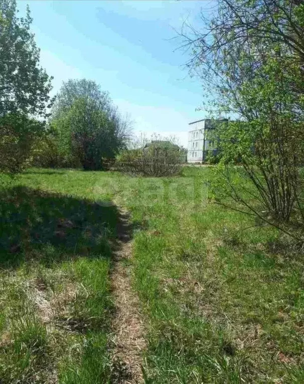 Участок в Вологодская область, пос. Надеево ул. Центральная (13.51 ... - Фото 2