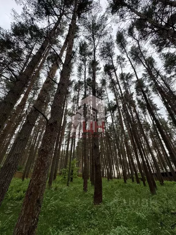 Участок в Тверская область, Конаковский муниципальный округ, д. ... - Фото 1