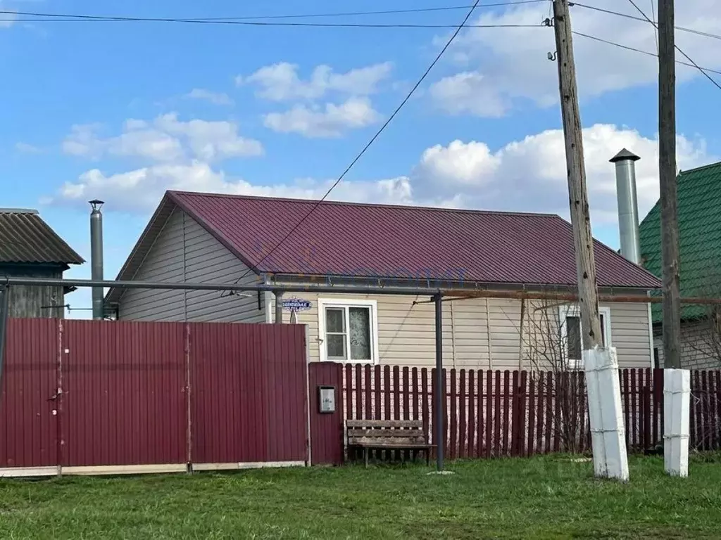 Дом в Нижегородская область, Богородский муниципальный округ, д. ... - Фото 1