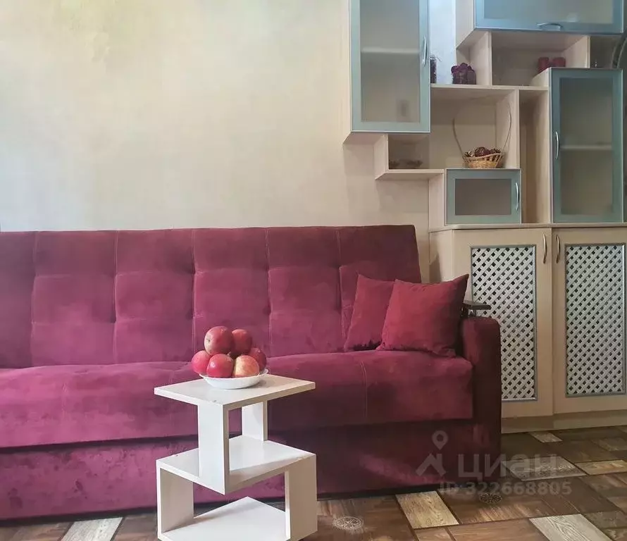 1-к кв. Псковская область, Новосокольники Партизанская ул., 12 (26.0 ... - Фото 1