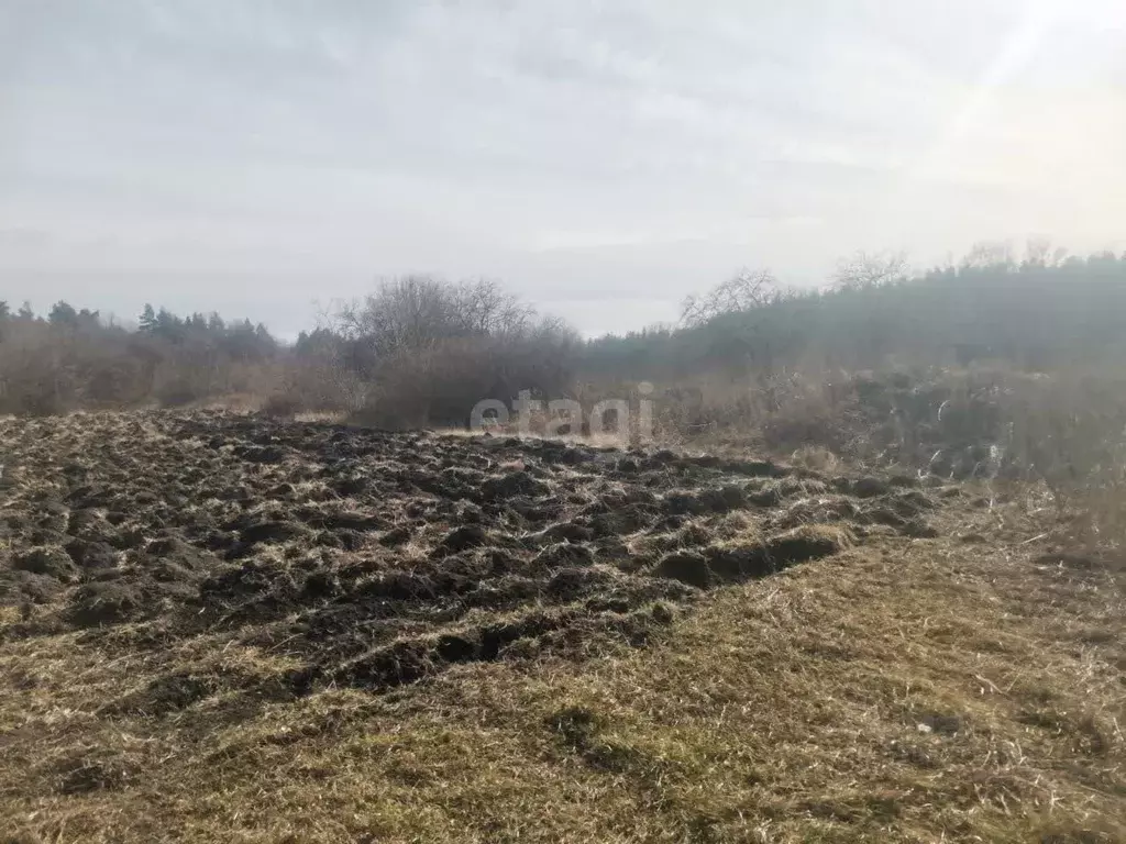 Участок в Липецкая область, Задонский район, Каменский сельсовет, с. ... - Фото 2