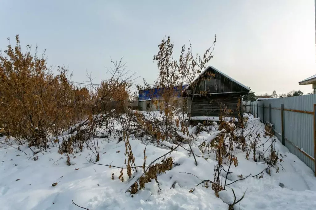 Участок в Новосибирская область, Новосибирск Радуга садовое ... - Фото 1