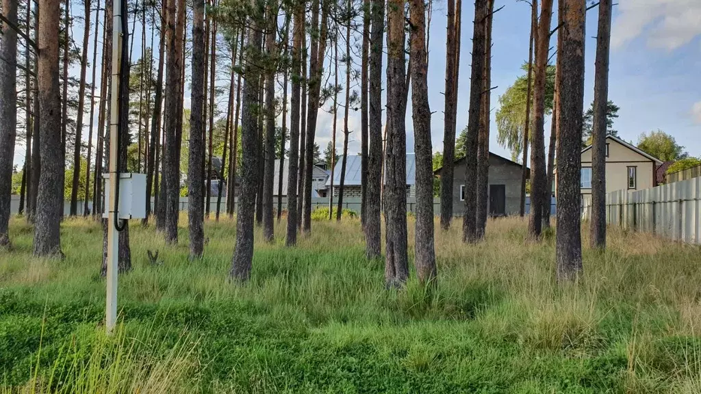 Участок в Ленинградская область, Гатчинский район, Вырица городской ... - Фото 1