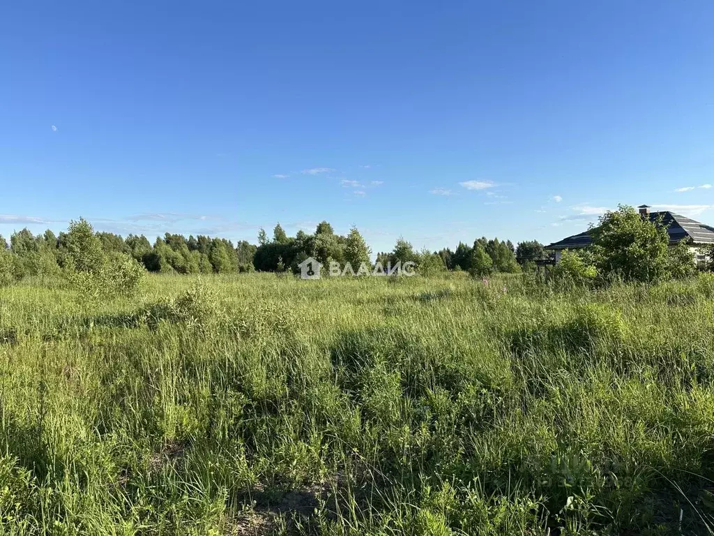 Участок в Нижегородская область, Нижний Новгород д. Новопавловка,  ... - Фото 2