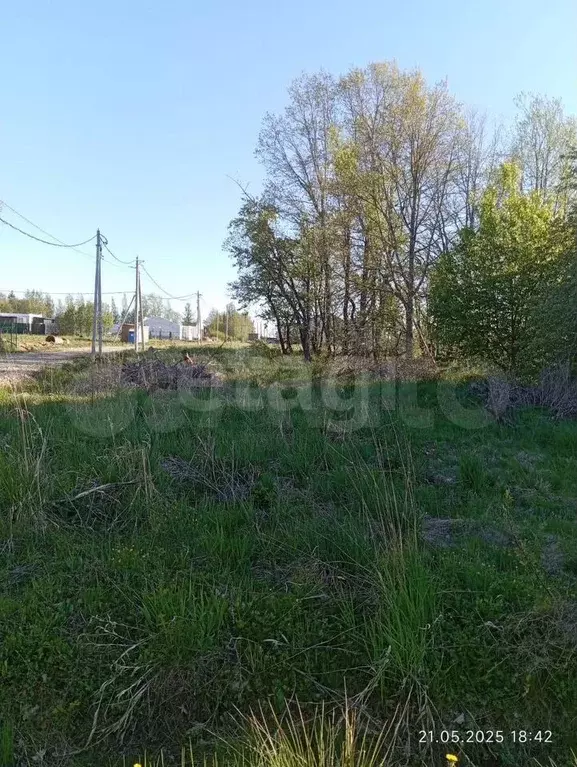 Участок 1,06 га (ИЖС) - Фото 1