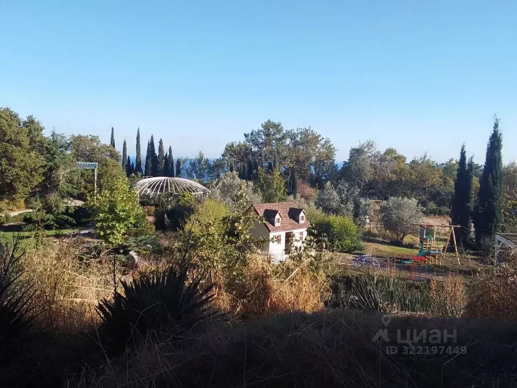 Участок в Крым, Ялта муниципальный округ, Гурзуф пгт ул. ... - Фото 2