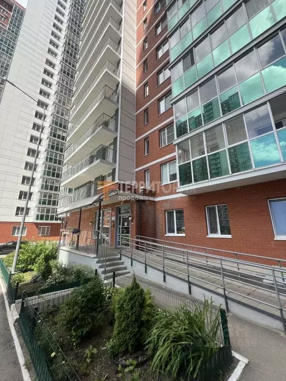 Студия Пермский край, Пермь ул. Крылова, 15А (32.7 м) - Фото 1