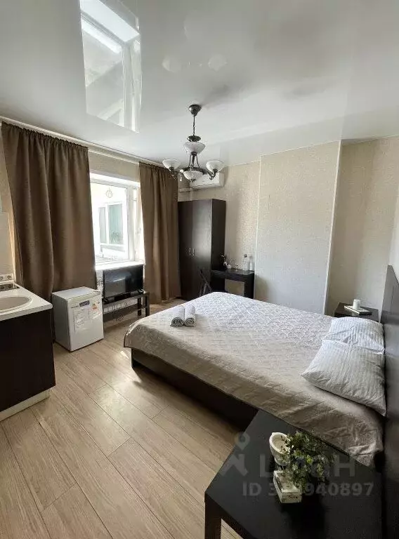 1-к кв. Новосибирская область, Новосибирск ул. Ленина, 53 (20.0 м) - Фото 0