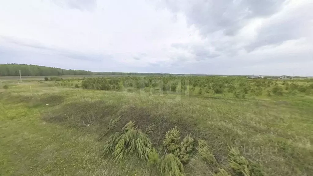 Участок в Тюменская область, Тюменский муниципальный округ, с. Кулига, ... - Фото 1