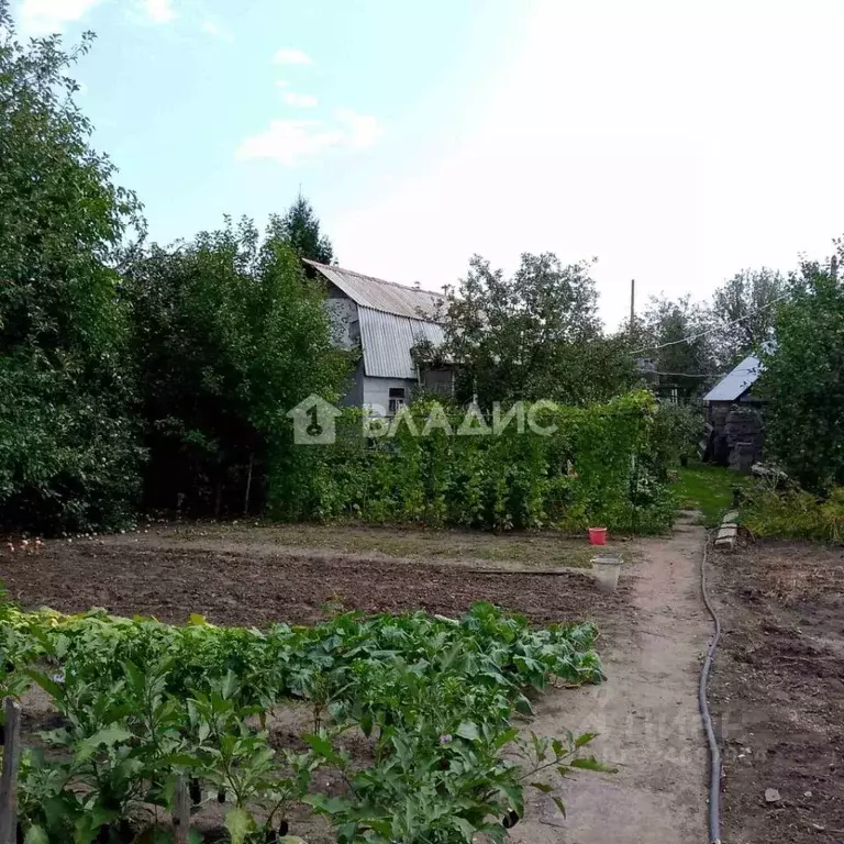 Дом в Саратовская область, Балаково Луч СТ,  (32 м) - Фото 1