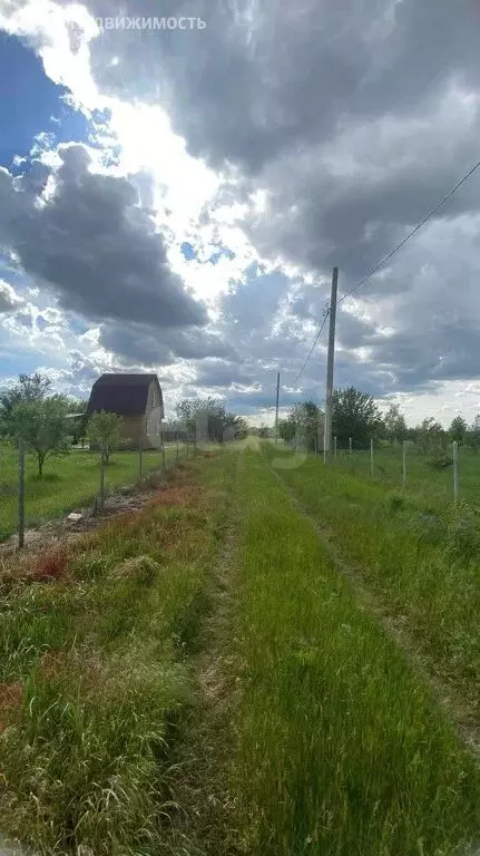 Участок в Кировское сельское поселение, садоводческое товарищество ... - Фото 2