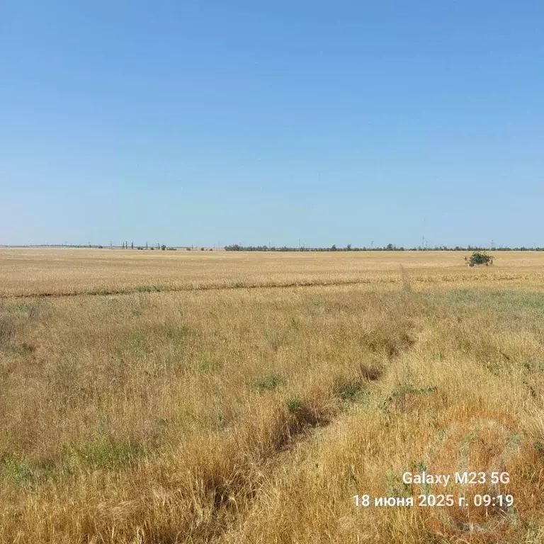 Участок в Крым, Черноморский район, с. Новоивановка  (4.0 сот.) - Фото 0