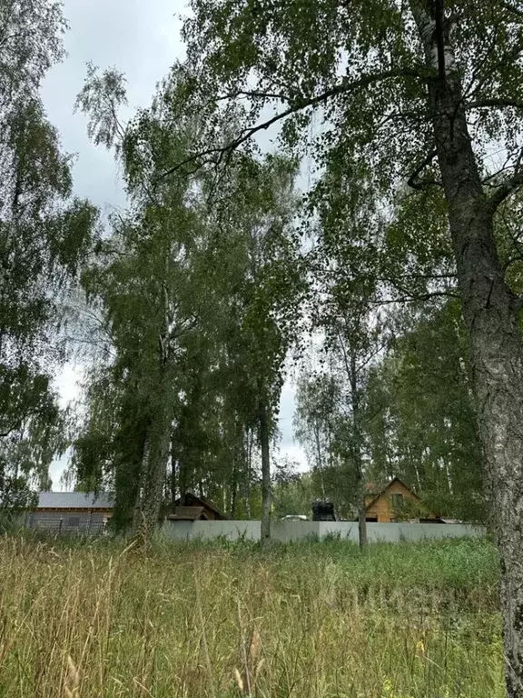 Участок в Московская область, Серпухов городской округ, д. Тульчино, ... - Фото 1