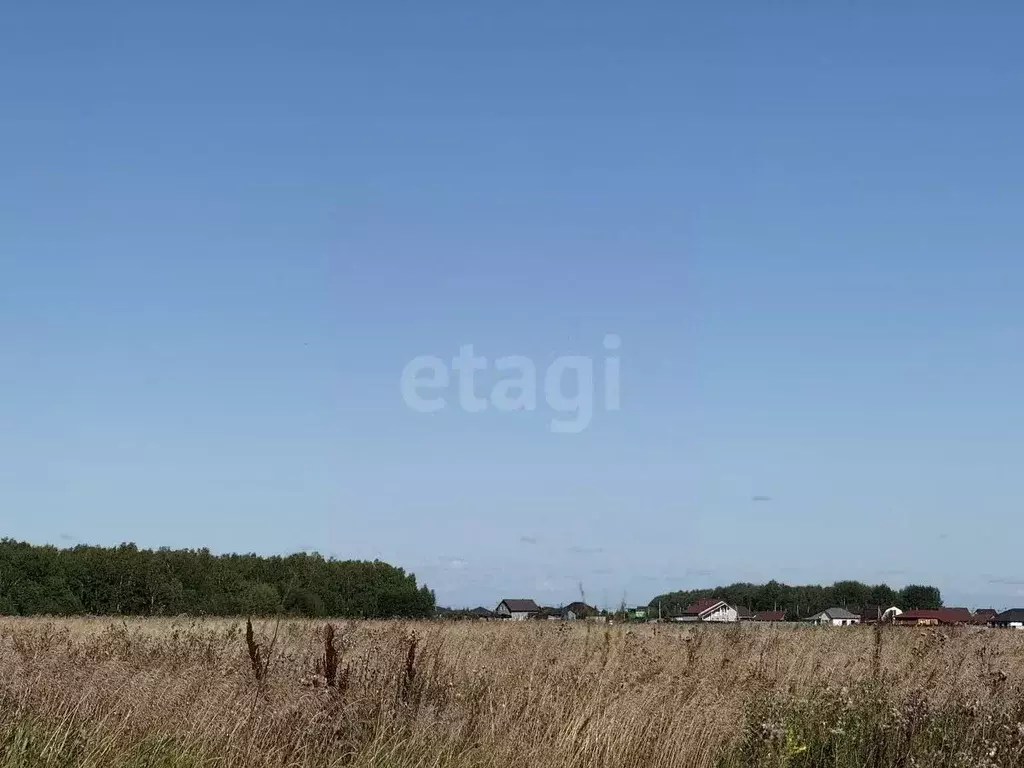 Участок в Тюменская область, Тюменский муниципальный округ, ... - Фото 2