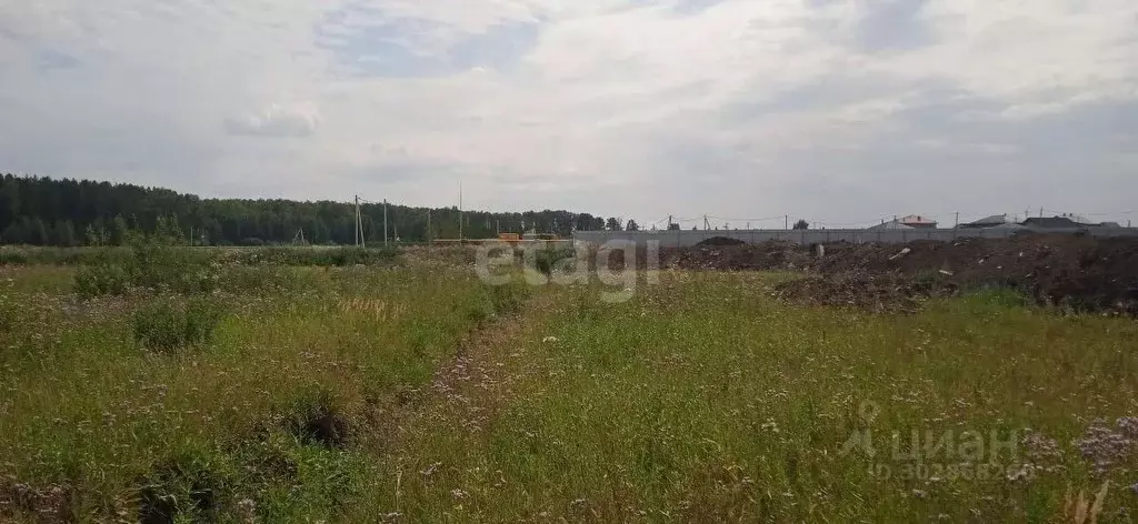 Участок в Челябинская область, Сосновский район, Кременкульское с/пос, ... - Фото 0