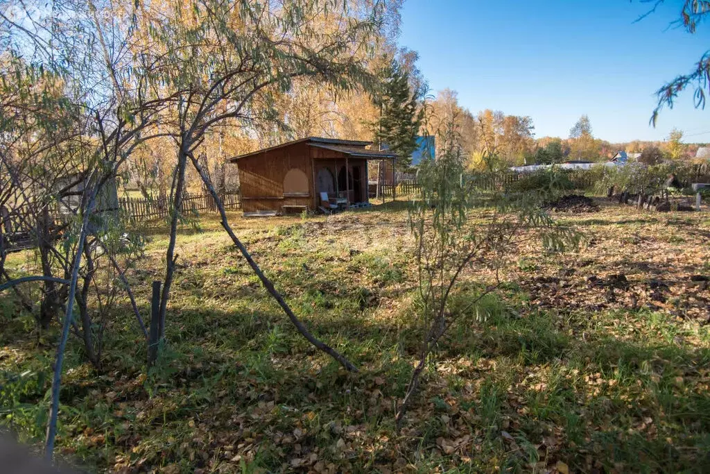 Участок в Бердск, садовое товарищество Ветеран, 1-я улица (11.7 м) - Фото 0