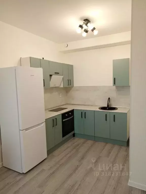 2-к кв. Санкт-Петербург пос. Парголово, дор. Михайловская, 16к3 (52.7 ... - Фото 0