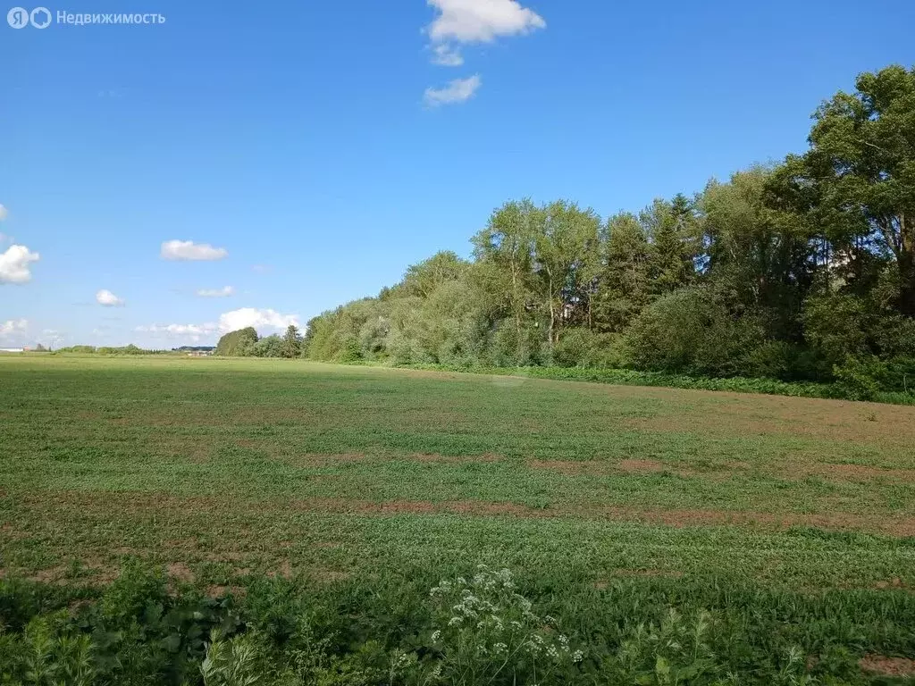 Участок в Медведевский район, Нурминское сельское поселение, село ... - Фото 1