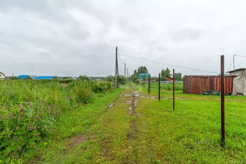 Участок в Тюменская область, Тюмень Лаванда садовое товарищество, ул. ... - Фото 0