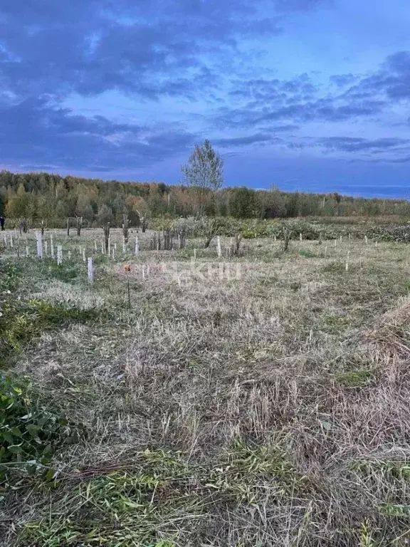 Участок в Нижегородская область, Нижний Новгород с. Безводное, ул. ... - Фото 1