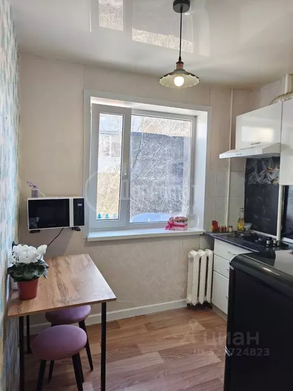 1-к кв. Курганская область, Курган ул. Коли Мяготина, 50 (30.2 м) - Фото 1