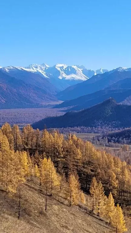 Участок в Алтай, Усть-Коксинский район, с. Тюнгур ул. Сухова (2.7 га.) - Фото 1