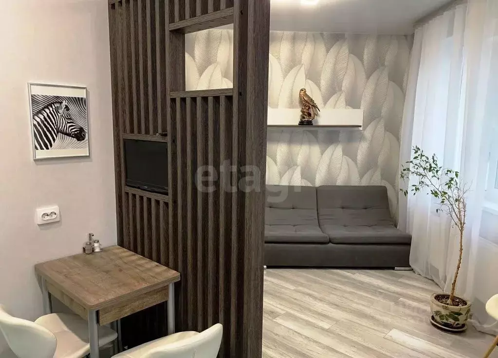 Студия Санкт-Петербург ул. Плесецкая, 10 (25.0 м) - Фото 2