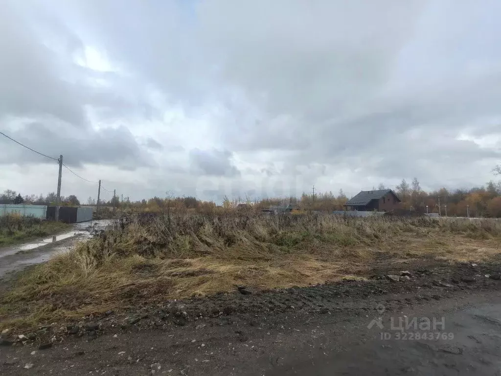 Участок в Владимирская область, Муром Березка со,  (6.0 сот.) - Фото 2