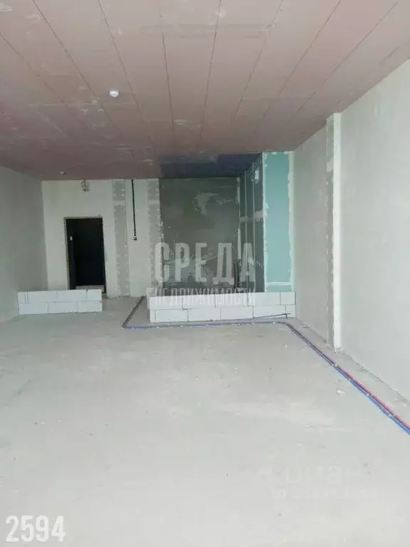 Студия Севастополь ул. Пляж Омега, 39с1 (40.4 м) - Фото 0