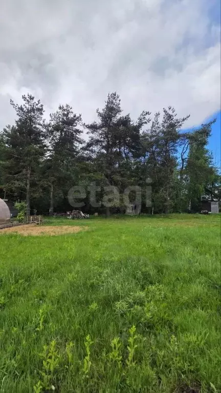 Участок в Тверская область, Калининский муниципальный округ, д. ... - Фото 2