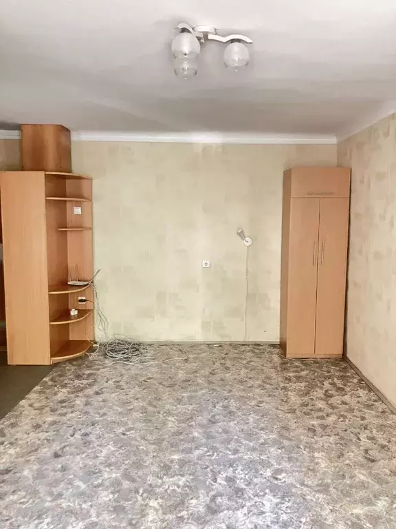 2-к кв. Воронежская область, Воронеж ул. Свободы, 29 (44.1 м) - Фото 1