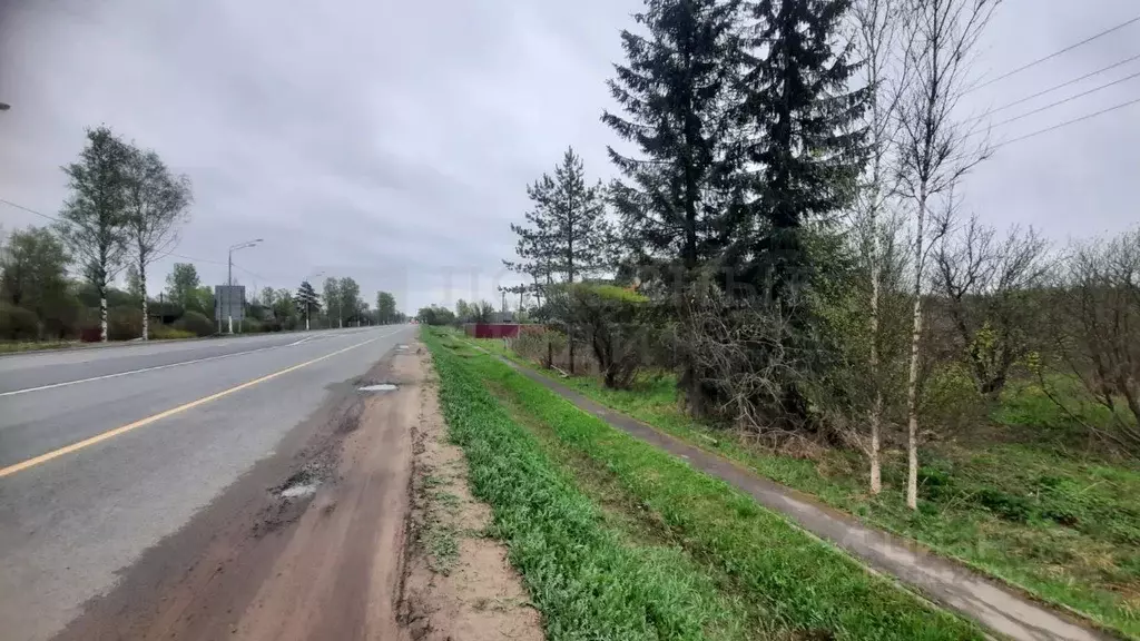 Участок в Новгородская область, Крестецкий муниципальный округ, д. ... - Фото 1