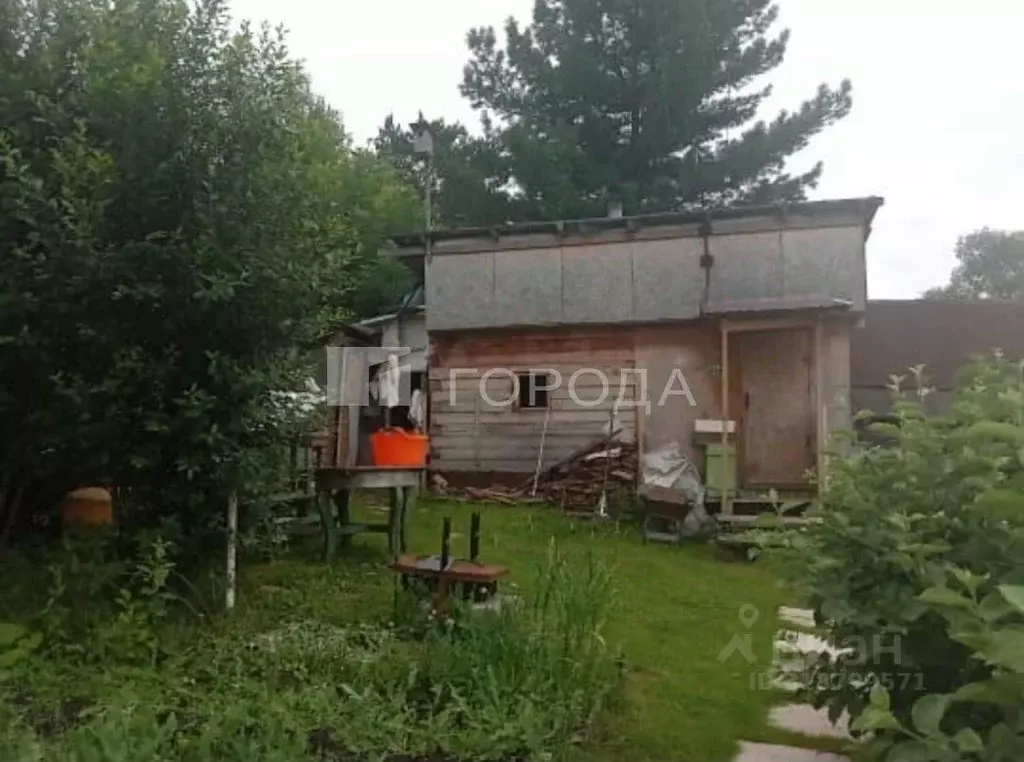 Дом в Новосибирская область, Новосибирск Алый Рассвет СНТ, 505 (38 м) - Фото 1