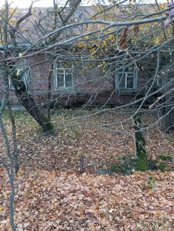 Дом в Псковская область, Пыталово ул. Победы, 34 (58 м) - Фото 0