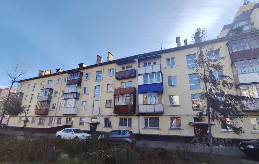 2-к кв. Алтайский край, Барнаул Интернациональная ул., 48 (43.2 м) - Фото 1