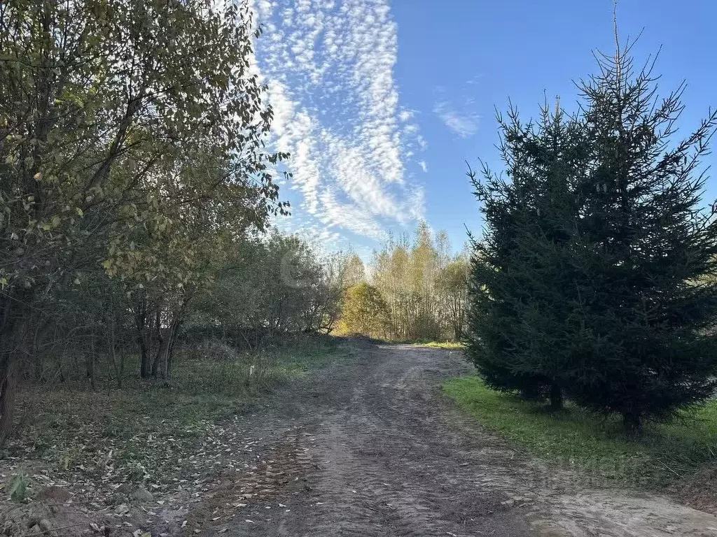 Участок в Владимирская область, Ковровский район, Малыгинское с/пос, ... - Фото 1