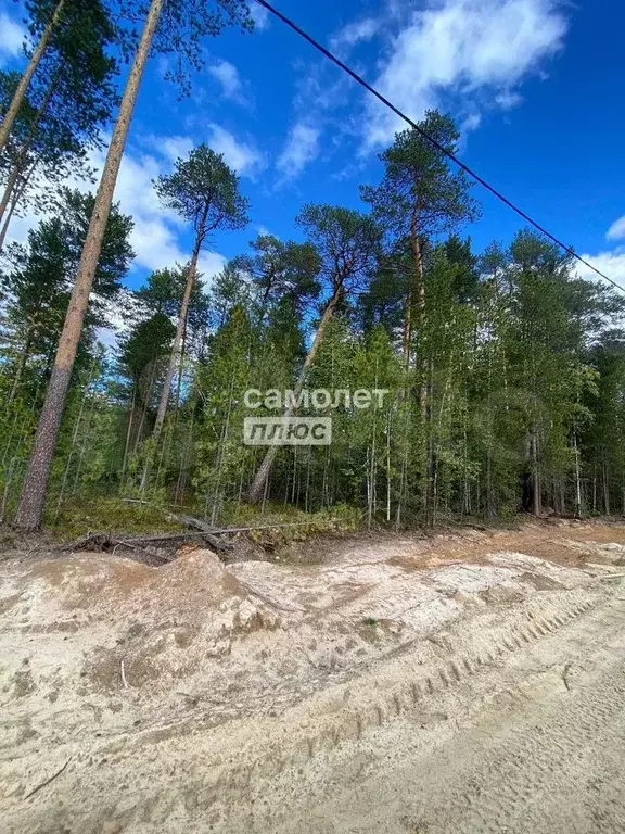 Участок 7,5 сот. (СНТ, ДНП) - Фото 0
