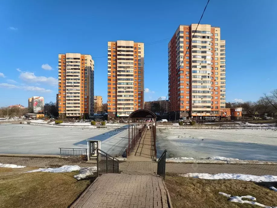 4-к кв. Московская область, Чехов ул. Чехова, 79к1 (120.0 м) - Фото 1