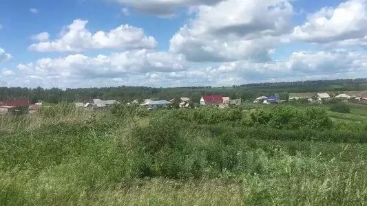 Участок в Алтайский край, Павловский район, с. Шахи Гвардейская ул., ... - Фото 0