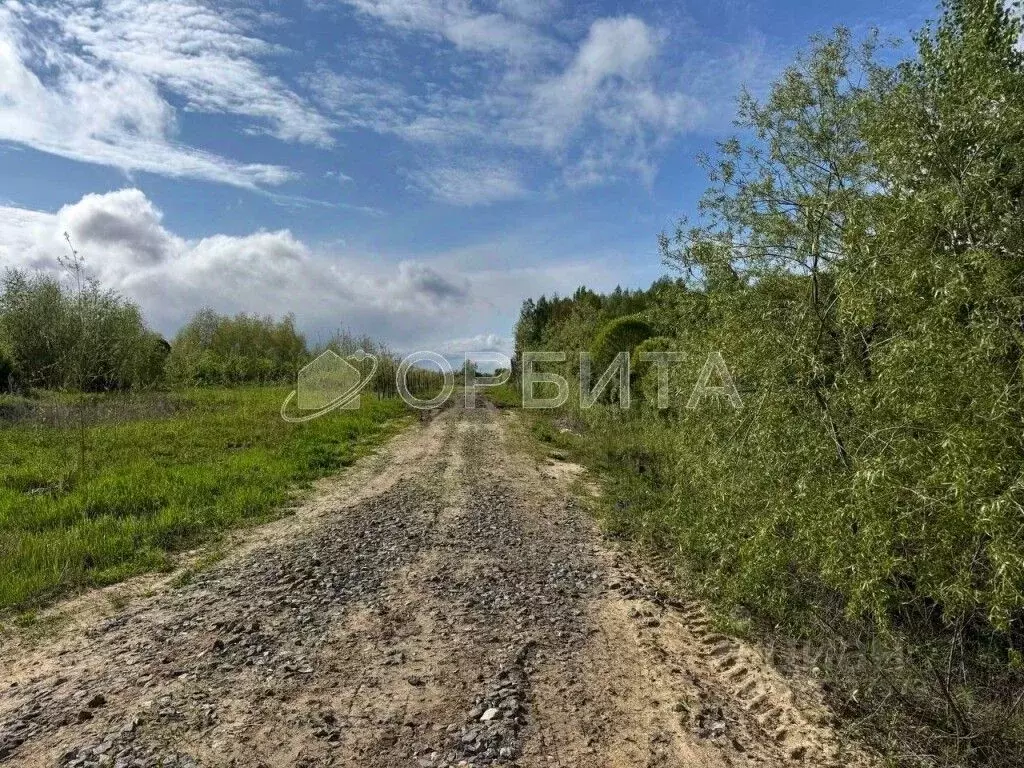 Участок в Тюменская область, Тюменский муниципальный округ, с. ... - Фото 2