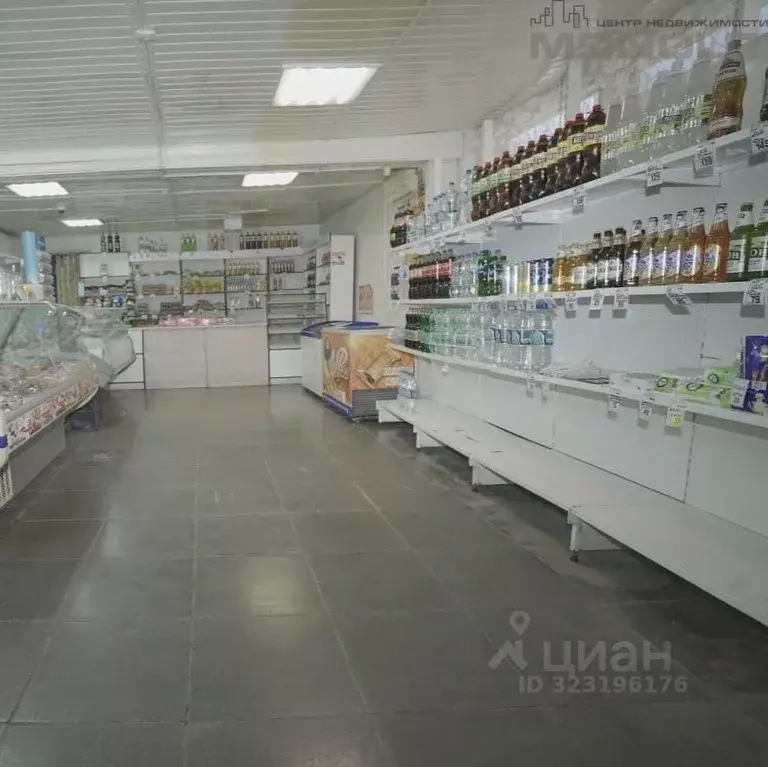 Торговая площадь в Свердловская область, Сухой Лог Пушкинская ул., 4 ... - Фото 2